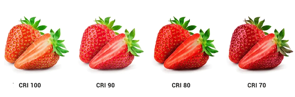 Strawberries photographed under CRI 100, CRI 90, CRI 80 and CRI 70 LED lighting